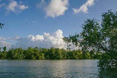 DeFi Token Performance & Investor Trends Post-October Crash (2025): The 2025 Investor Reality, by the Numbers